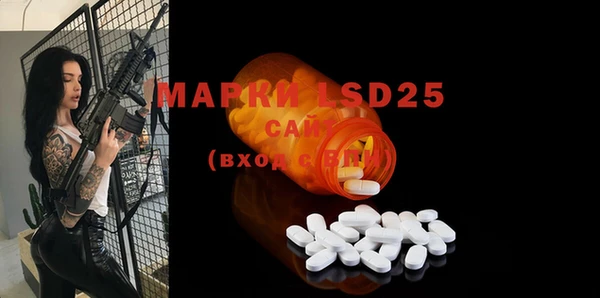 гашик Ступино