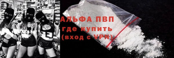 ГАЛЛЮЦИНОГЕННЫЕ ГРИБЫ Строитель