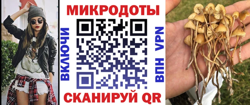 Галлюциногенные грибы MAGIC MUSHROOMS  Купить где  Калуга 